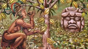  Istoria arborelui de cacao1